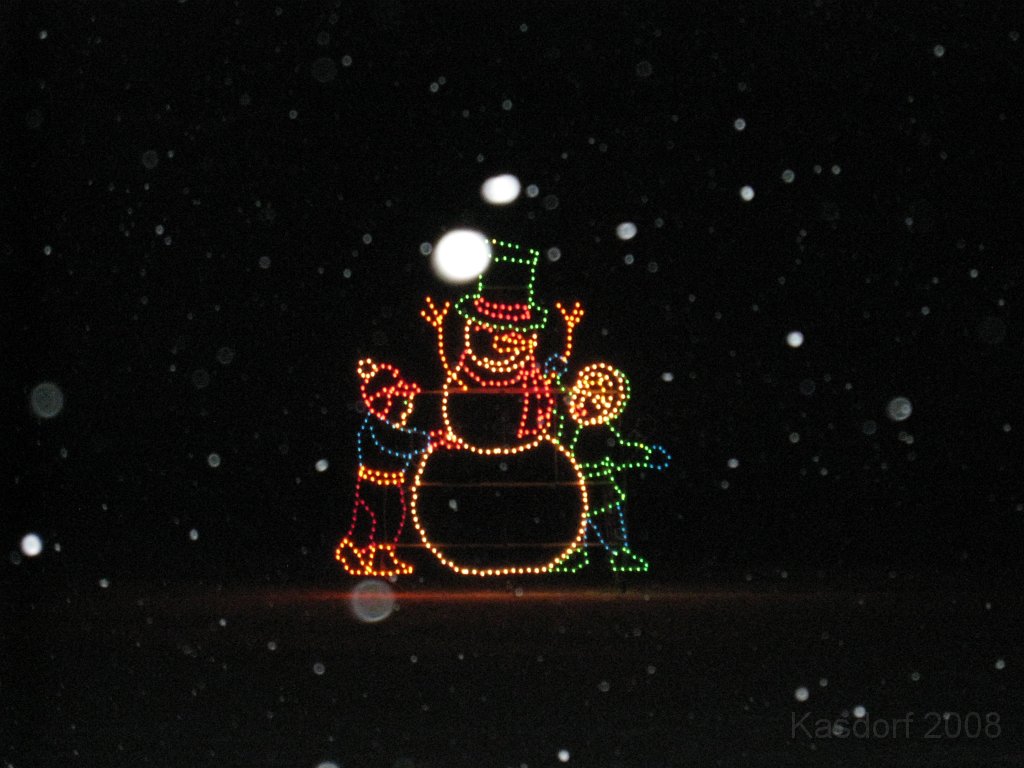 Christmas Lights Hines Drive 2008 056.jpg - The 2008 Wayne County Hines Drive Christmas Light Display. 4.5 miles of Christmas Light Displays and lots of animation!